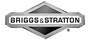 Briggs and Stratton